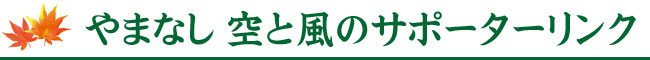 山梨県本西武のご紹介